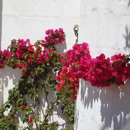 Masseria Bianca di Puglia-2